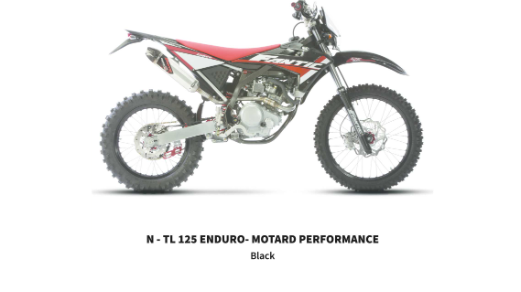 2mvBFV33Lg_N-TL125E-M Enduro-Motard PERFORMANCE_N-TL125E-M Enduro-Motard PERFORMANCE.png